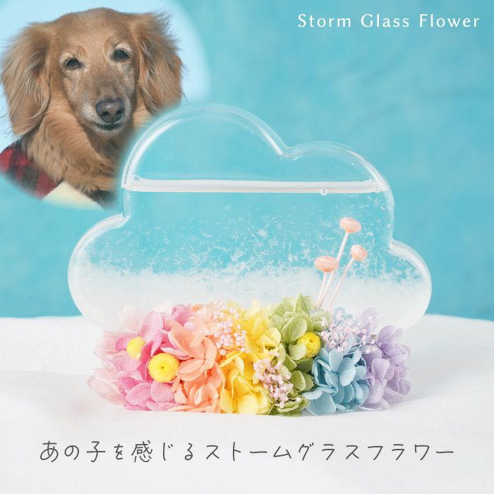 ペットちゃんの虹の橋ストームグラス -雲- お供え プリザーブドフラワー