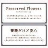 お供え花ドームとスタバのギフトセット プリザーブドフラワー
